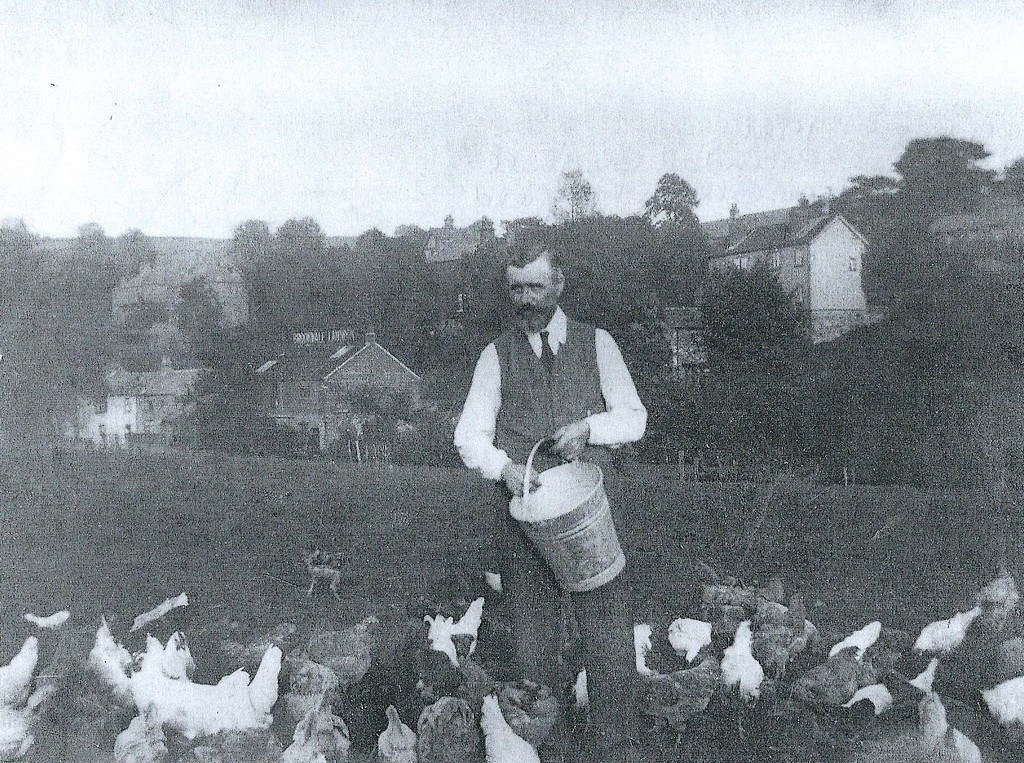 James Gledhill's poultry farm with the Brookvale Laundry in the background