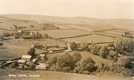 Moneybrook Farm and beyond in 1958
