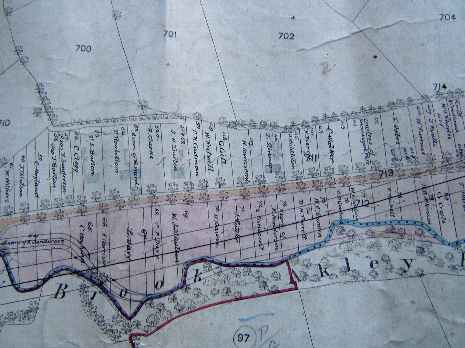 Totley Brook Estate allotment plan 1876, western part