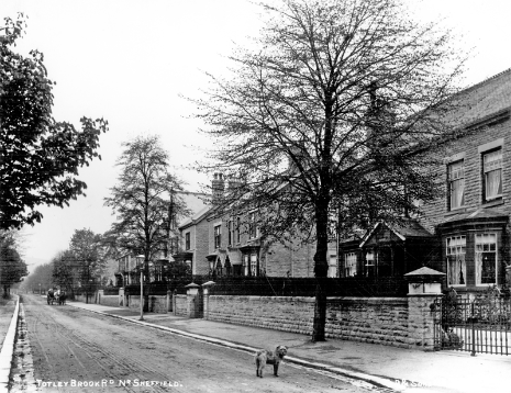 Totley Brook Road looking west from Kengarth (no. 90)