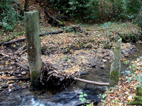 Standing stones in Totley Brook