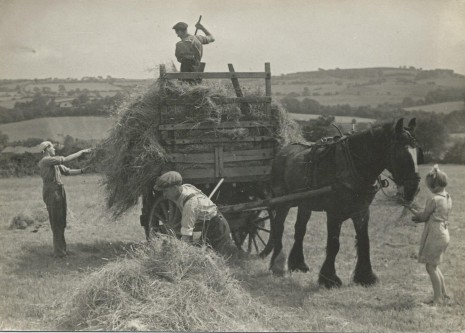 Frank Thompson (left), Bill Mather (top of cart), Sam Mather (foreground), Pat Shaw, right.